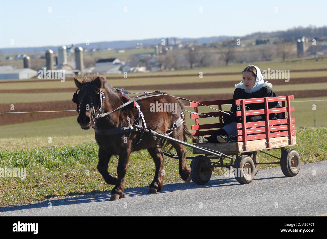 Une jeune fille se rend dans son buggy dans le pays Amish,ils n utilisez voitures Banque D'Images