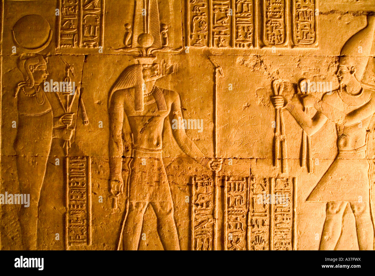 Hiéroglyphes mur Temple de Kom Ombo Nil période ptolémaïque reste du sanctuaire de temps Thoutmosis Egypte Afrique du Nord Banque D'Images