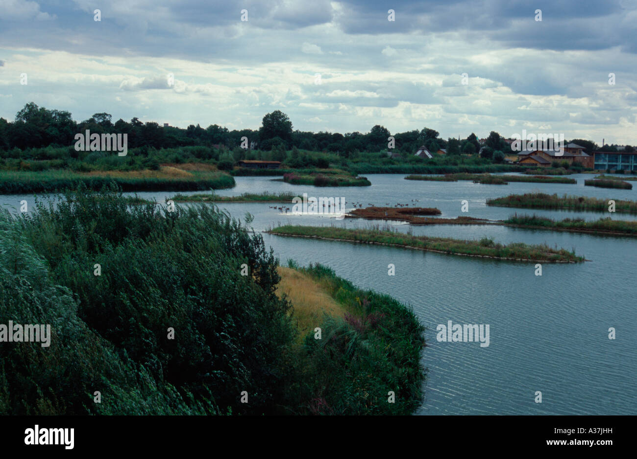 London Wetland Centre, Barnes, Londres SW13, UK Banque D'Images