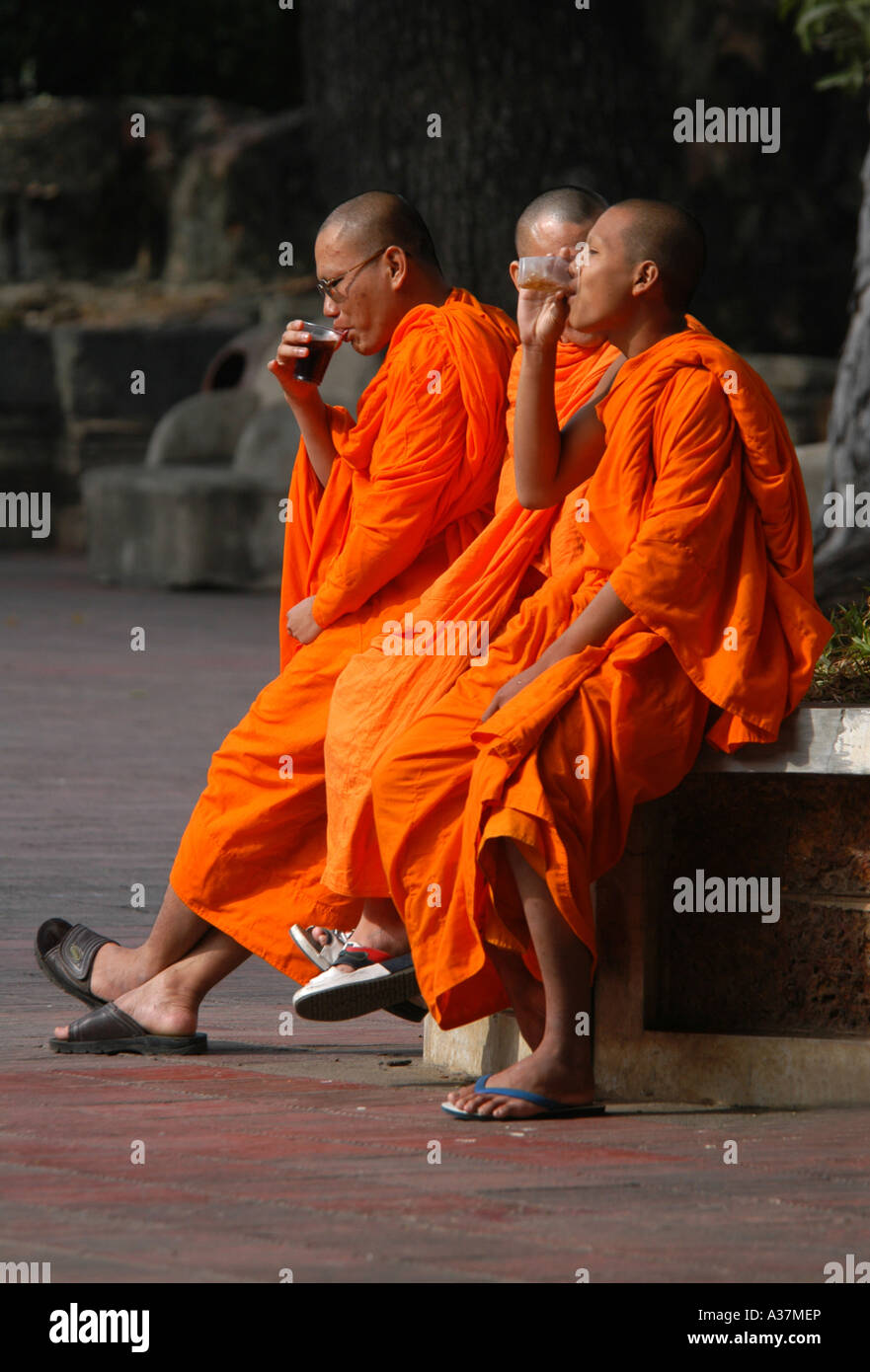Les moines bouddhistes boivent du thé à Nakhon Pathom, Thaïlande Banque D'Images