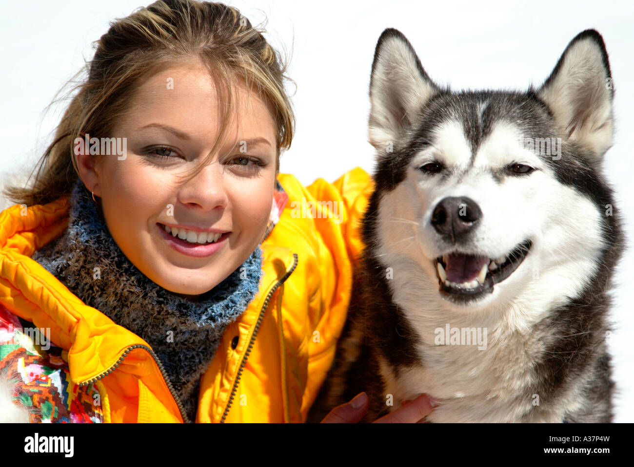 Frau im Winter mit hund, jeune femme en robe de ski jaune avec un chien  husky dans la neige Photo Stock - Alamy