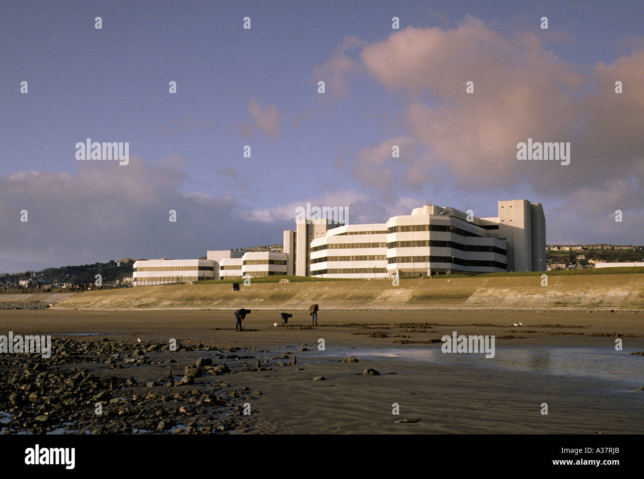 Creuser pour lugworms en face de la County Hall bâtiment conçu par C J Présentation La Baie de Swansea Wales UK Banque D'Images