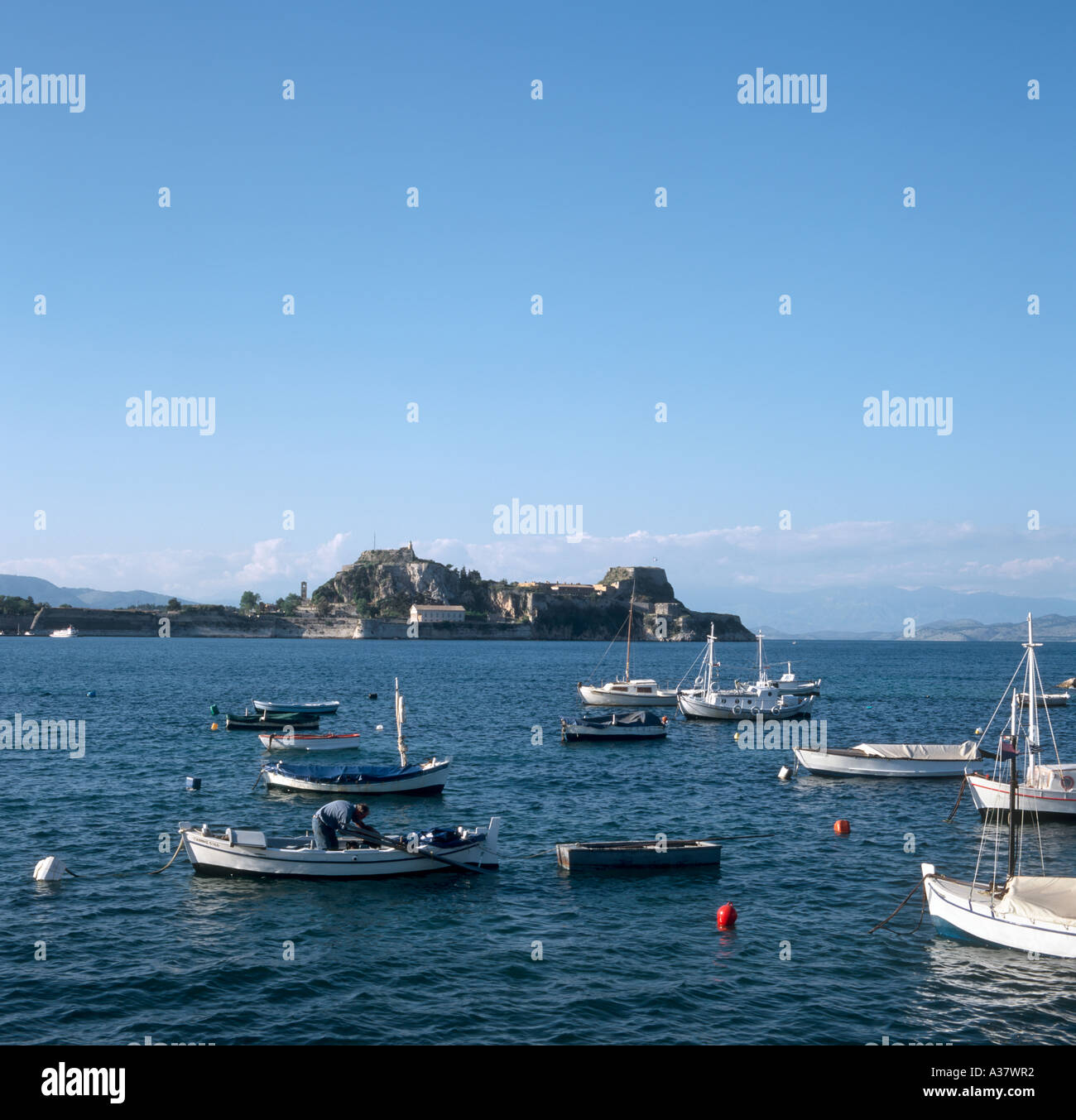 Vue sur le port en direction de la vieille ville et de la Citadelle, la ville de Corfou, Corfou (Kerkyra), îles Ioniennes, Grèce Banque D'Images