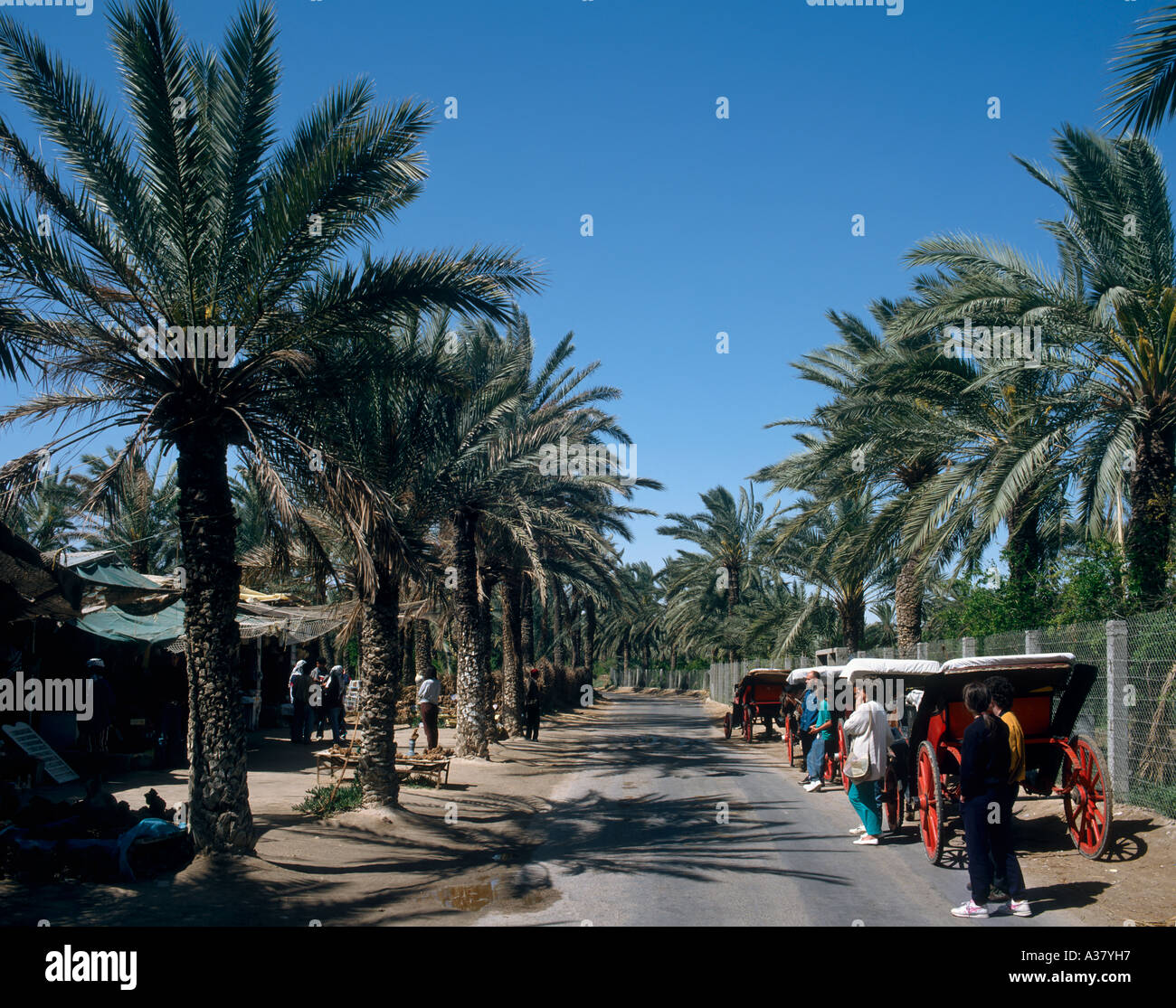 Voyage itinérant en chariots et dans le marché à l'Oasis de Gabès ...