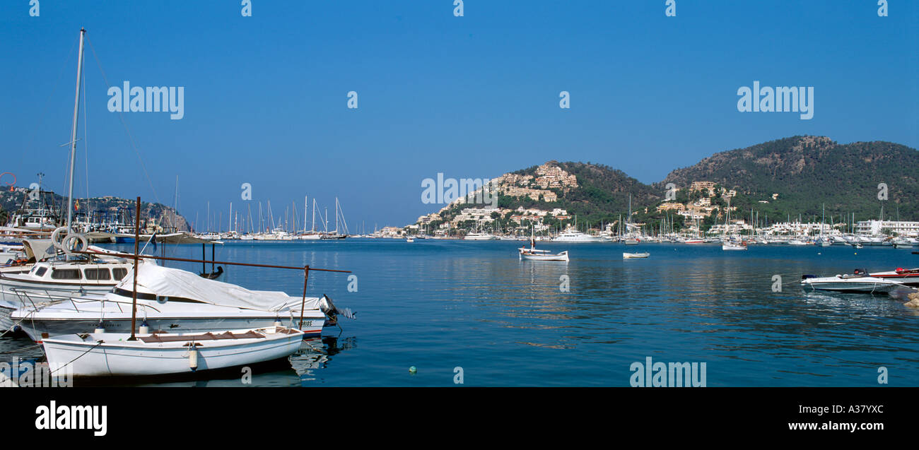 Vue panoramique sur le port de Puerto Andratx (Port d'Andratx, Mallorca, Espagne) Banque D'Images