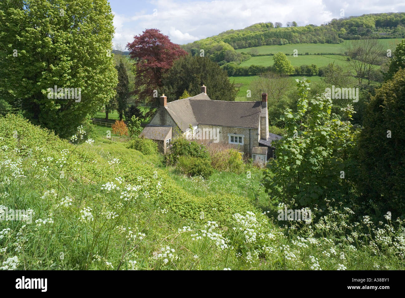 'Rosebank' dans le village de Cotswold Slad, Gloucestershire. La maison d'enfance de Laurie Lee, auteur de "Rosie avec cidre'. Banque D'Images