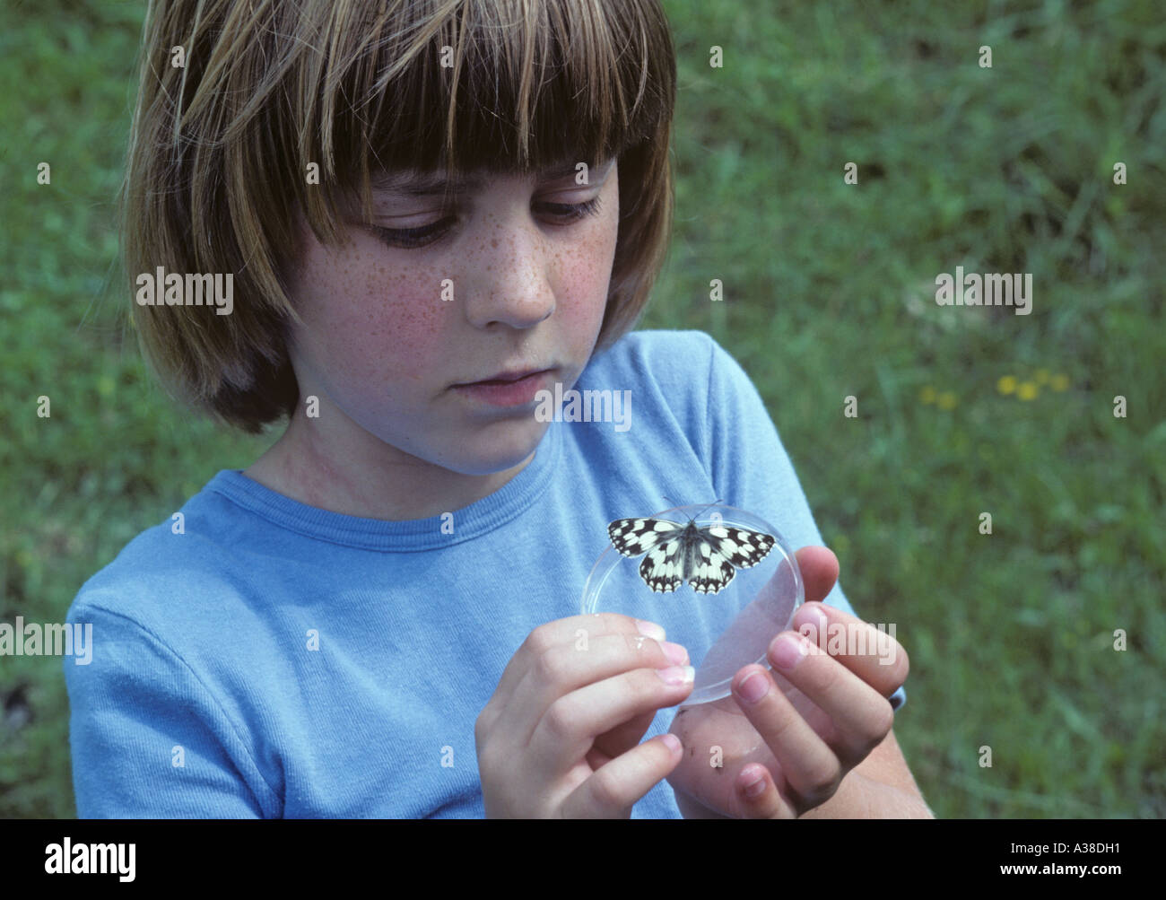 Enfant étudiant sur le terrain de l'école avec Wild Butterfly Banque D'Images