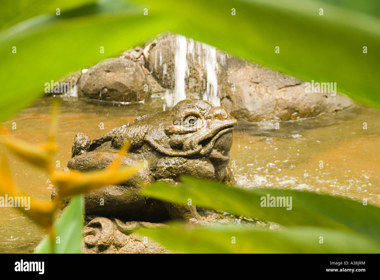 Grenouille en pierre dans un étang à Kiara Park condominium à Taman Tun Dr Ismail Kuala Lumpur Banque D'Images