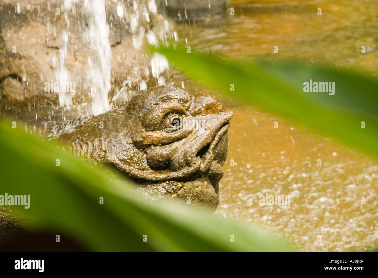 Grenouille en pierre dans un étang à Kiara Park condominium à Taman Tun Dr Ismail Kuala Lumpur Banque D'Images