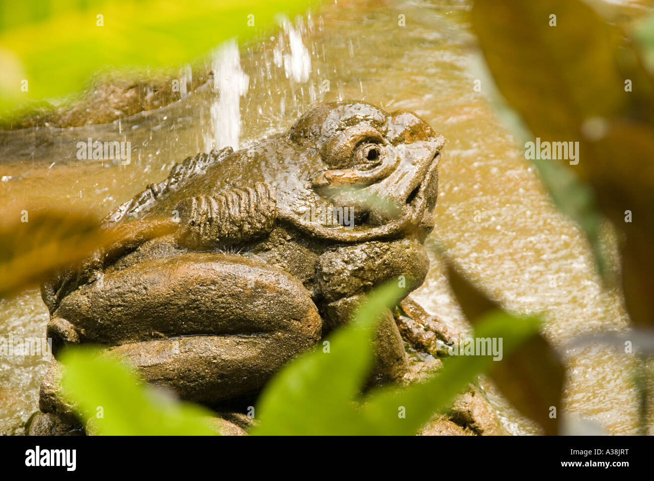 Grenouille en pierre dans un étang à Kiara Park condominium à Taman Tun Dr Ismail Kuala Lumpur Banque D'Images