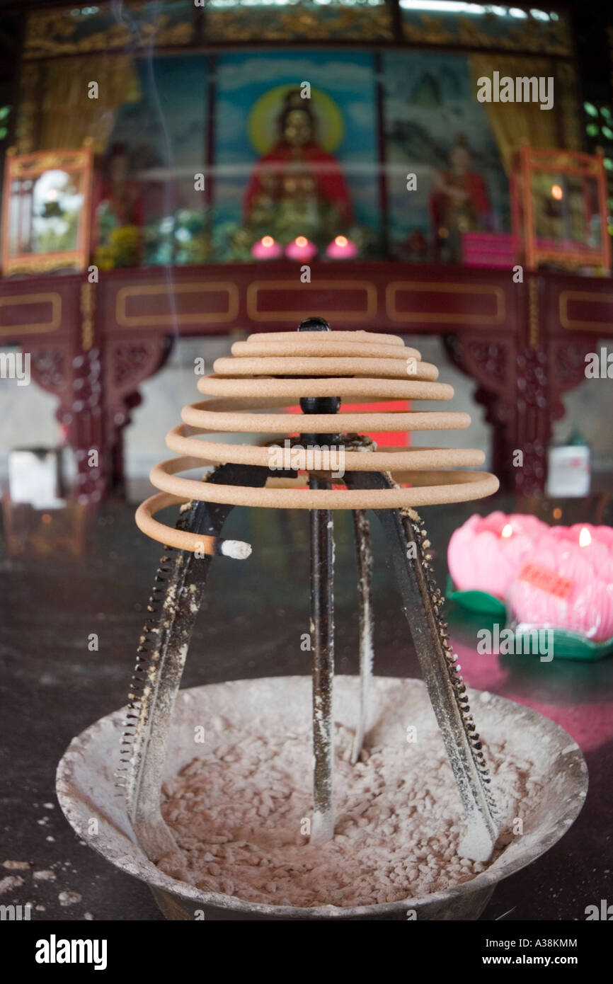 L'encens dans le Temple Serpent Penang Banque D'Images