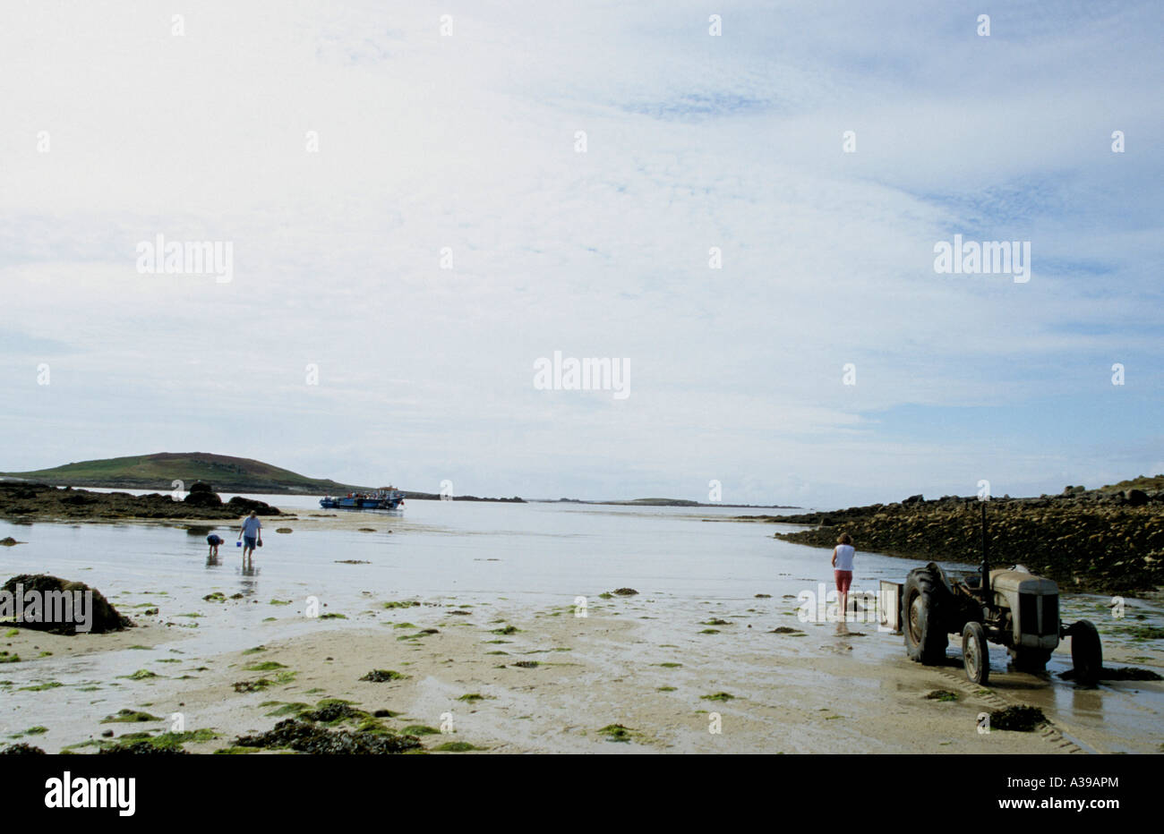 Femme en attente avec le tracteur pour accueillir les visiteurs à l'île de Bryher Îles Scilly Cornwall England UK Banque D'Images