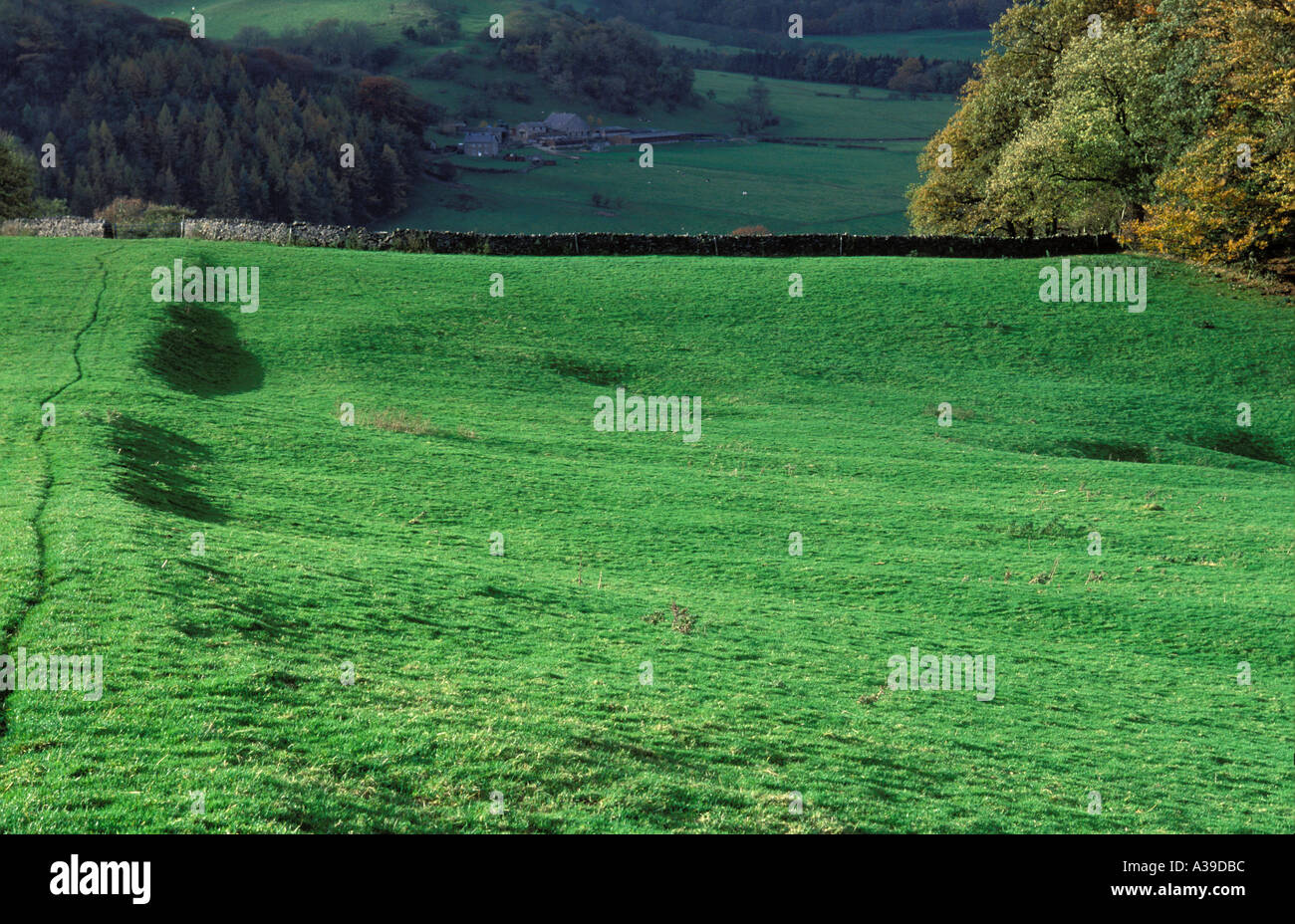 Ridge et signes sillon c Dunsop Bridge forêt de Bowland Banque D'Images