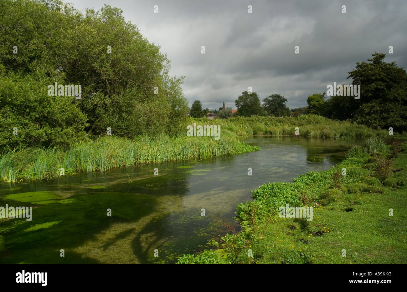 Test de la rivière, Stockbridge, Hampshire, Angleterre Banque D'Images