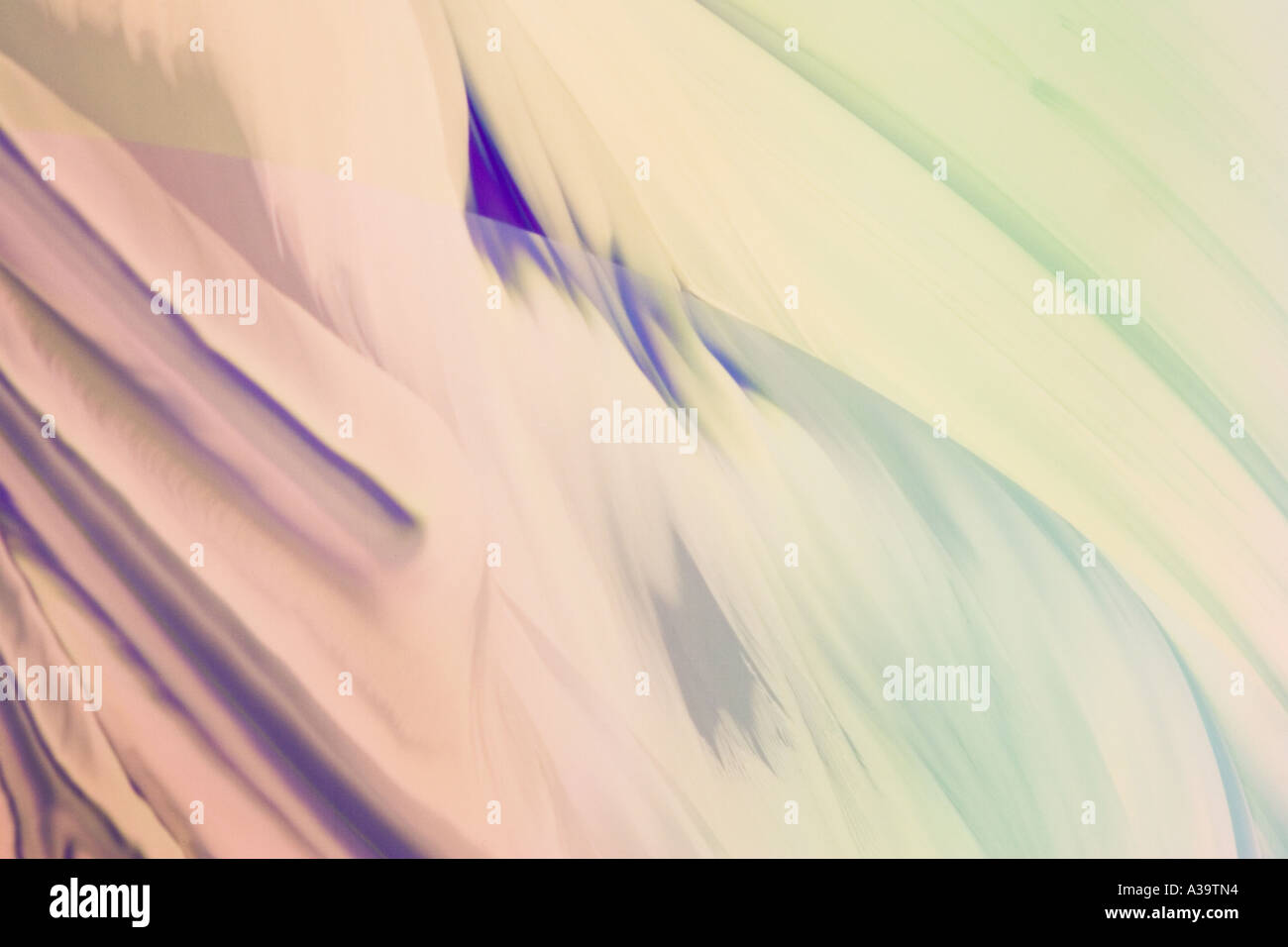 Forme naturelle décorative avec de beaux tons chauds Banque D'Images