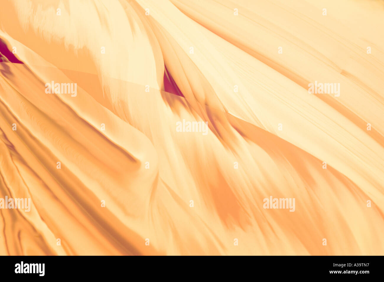 Forme naturelle décorative avec de beaux tons chauds Banque D'Images