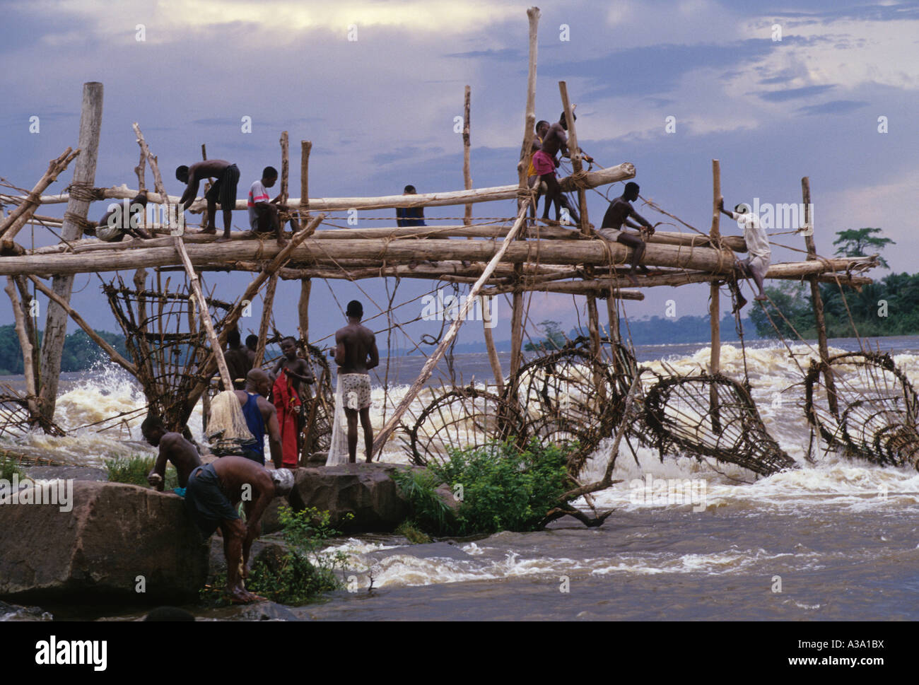 Wagenia Banque de photographies et d’images à haute résolution Alamy