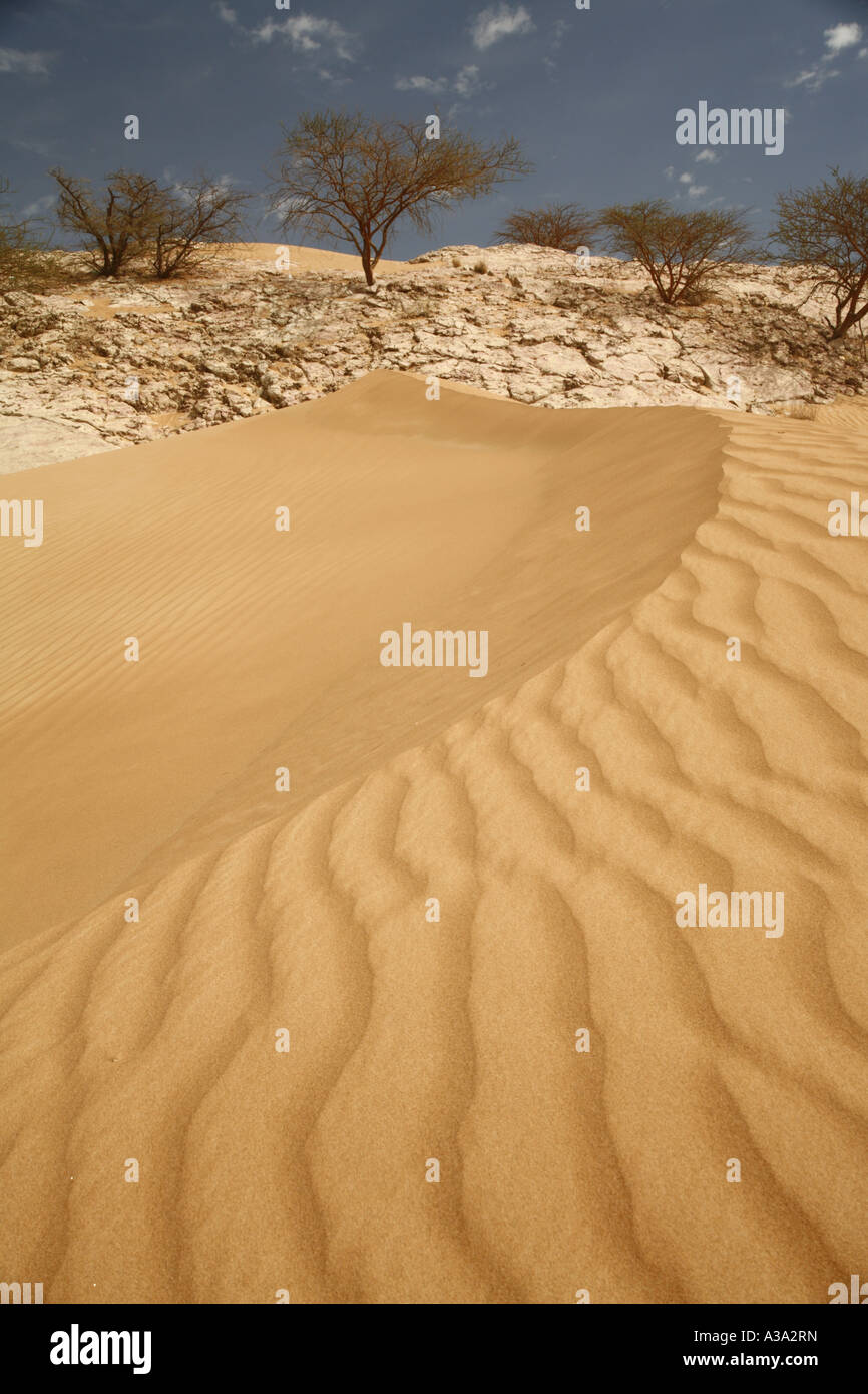 Scène de désert à Al Ain, Abou Dhabi Banque D'Images