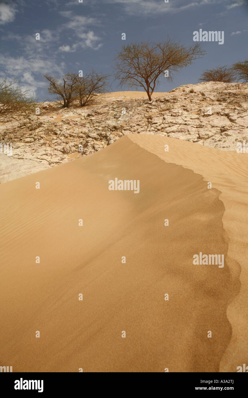 Scène de désert à Al Ain, Abou Dhabi Banque D'Images