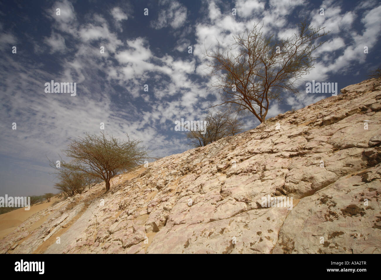 Scène de désert à Al Ain, Abou Dhabi Banque D'Images