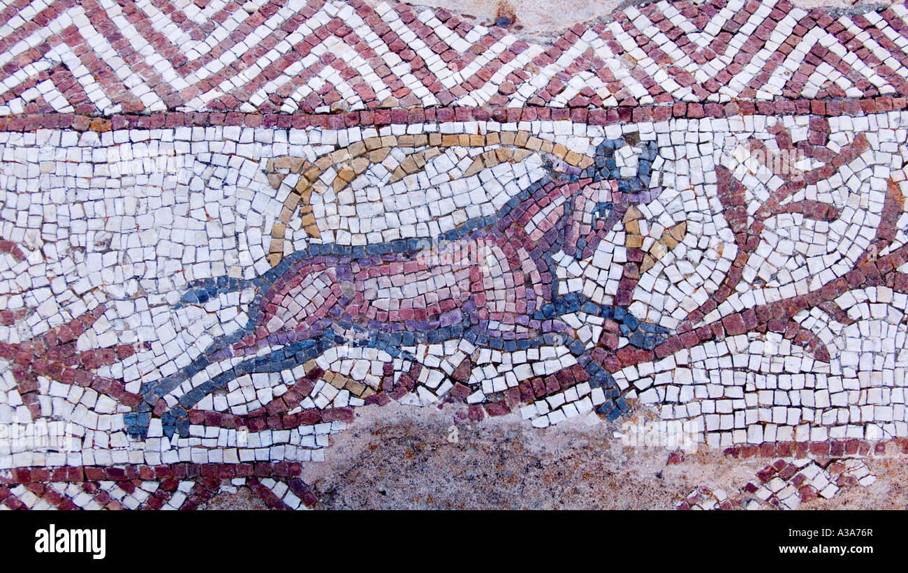 Mosaïque d'une antilope à la Villa de Silin près de Leptis Magna en Libye Banque D'Images