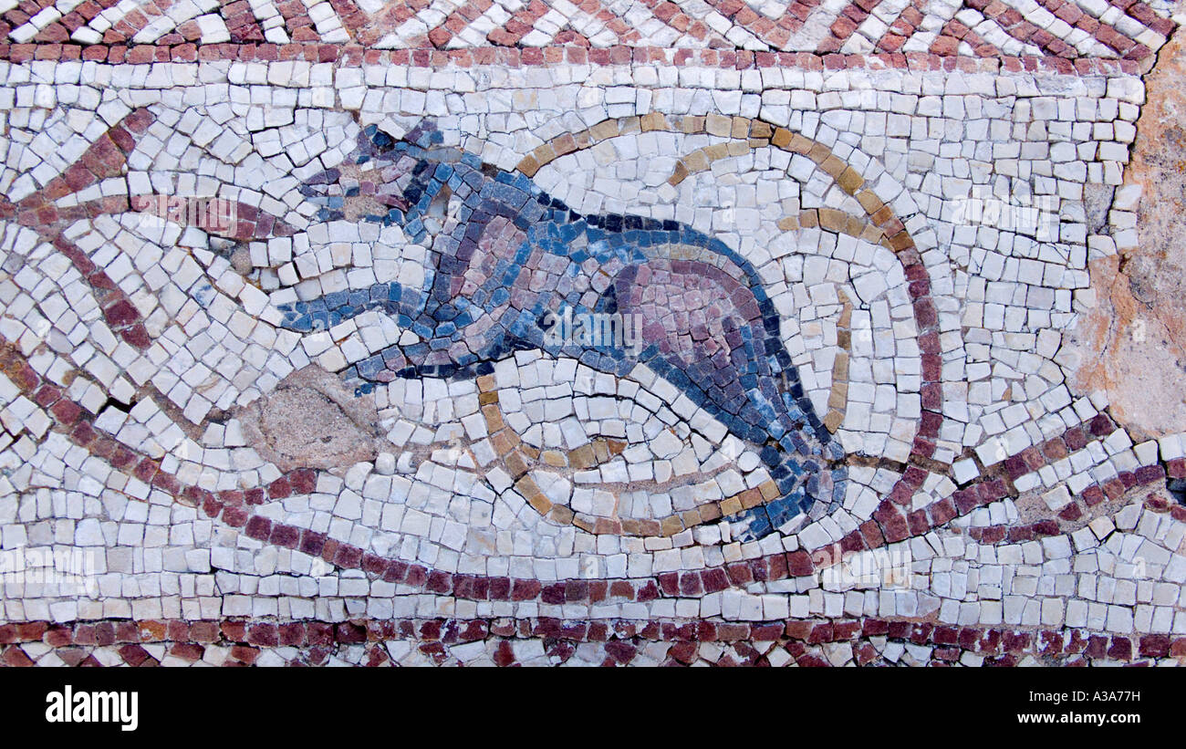 Mosaïque d'un ours à la Villa de Silin près de Leptis Magna en Libye Banque D'Images