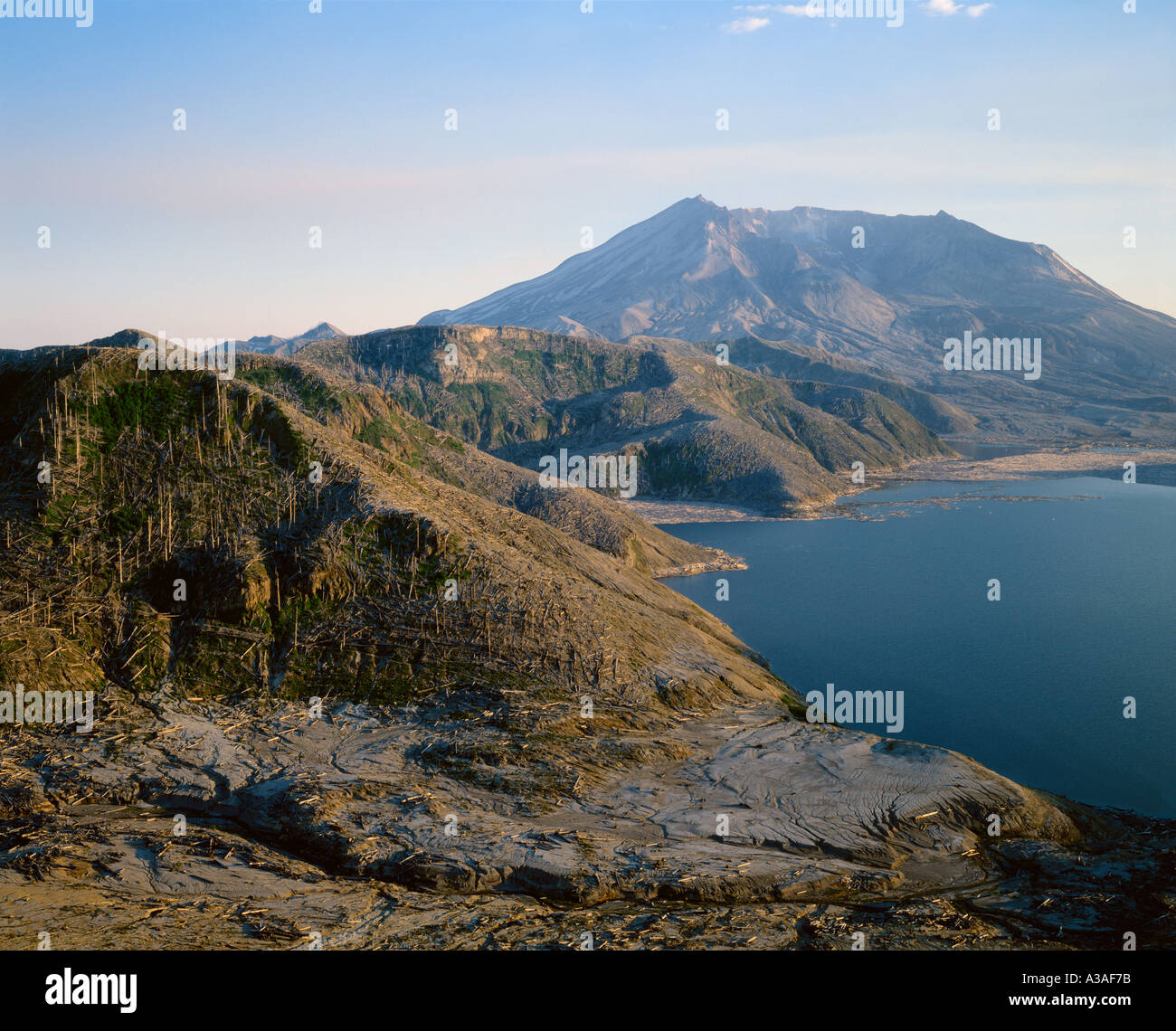 Mt St Helens éruption Post Washington State USA Volcan Cascades Érosion Destruction tombé Forest Spirit Lake Banque D'Images