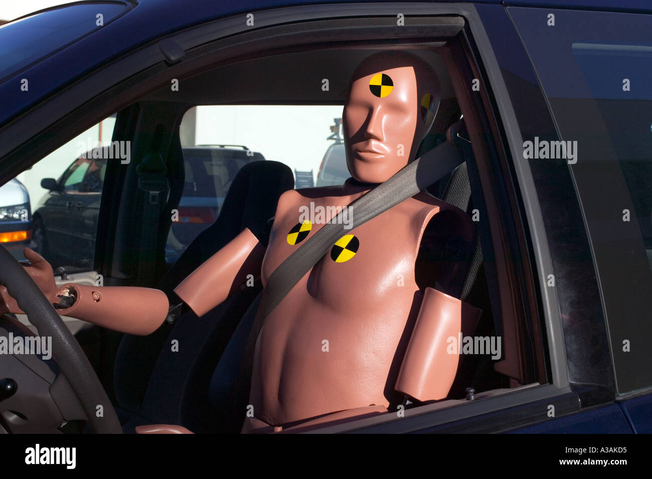 Crash test dummy dans van Banque D'Images