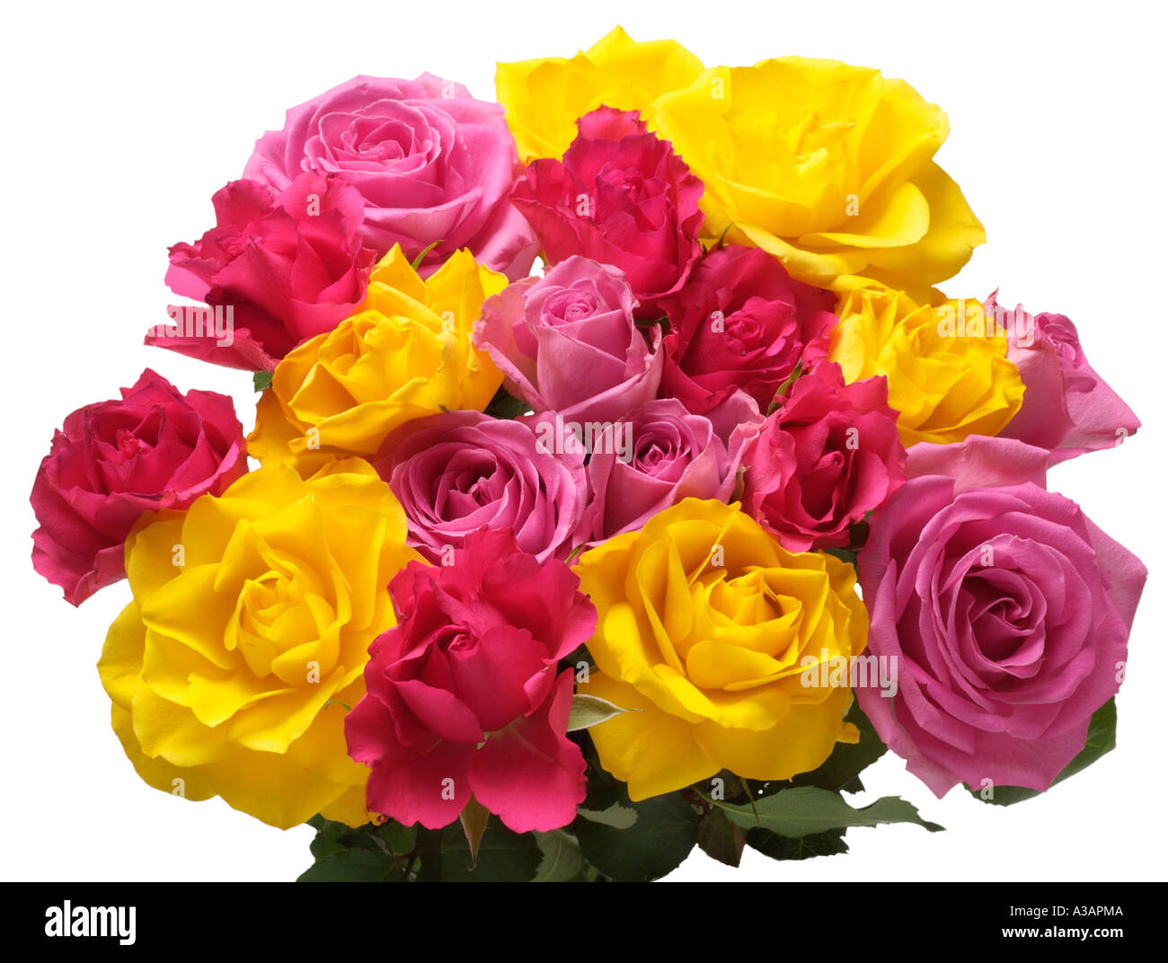 Bouquet Rose rouge groupe tête rose jaune fleur bud pétales ouvertes côté  frais généraux sur les trois quarts Photo Stock - Alamy