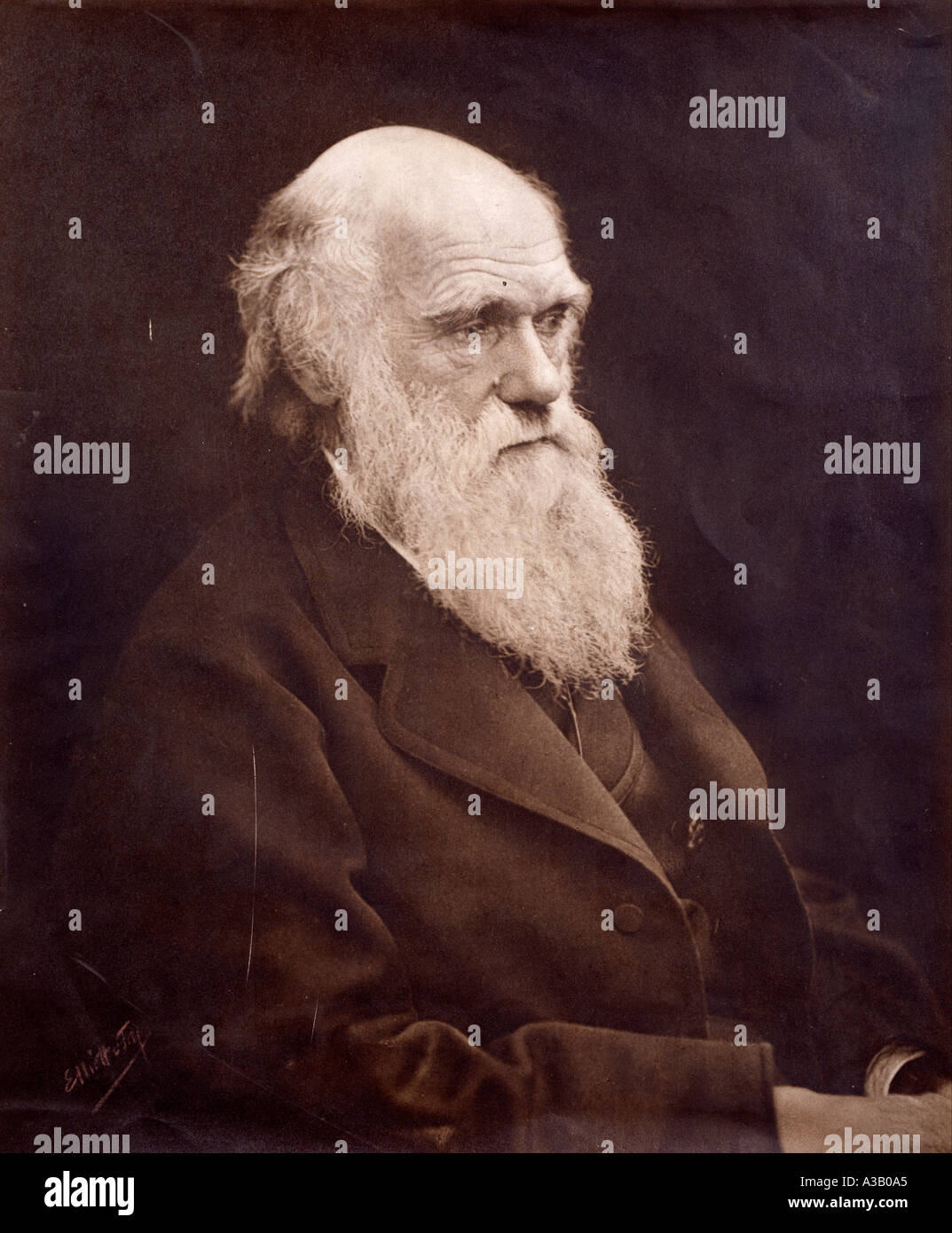 Charles Robert Darwin 1809 1882 Banque D'Images