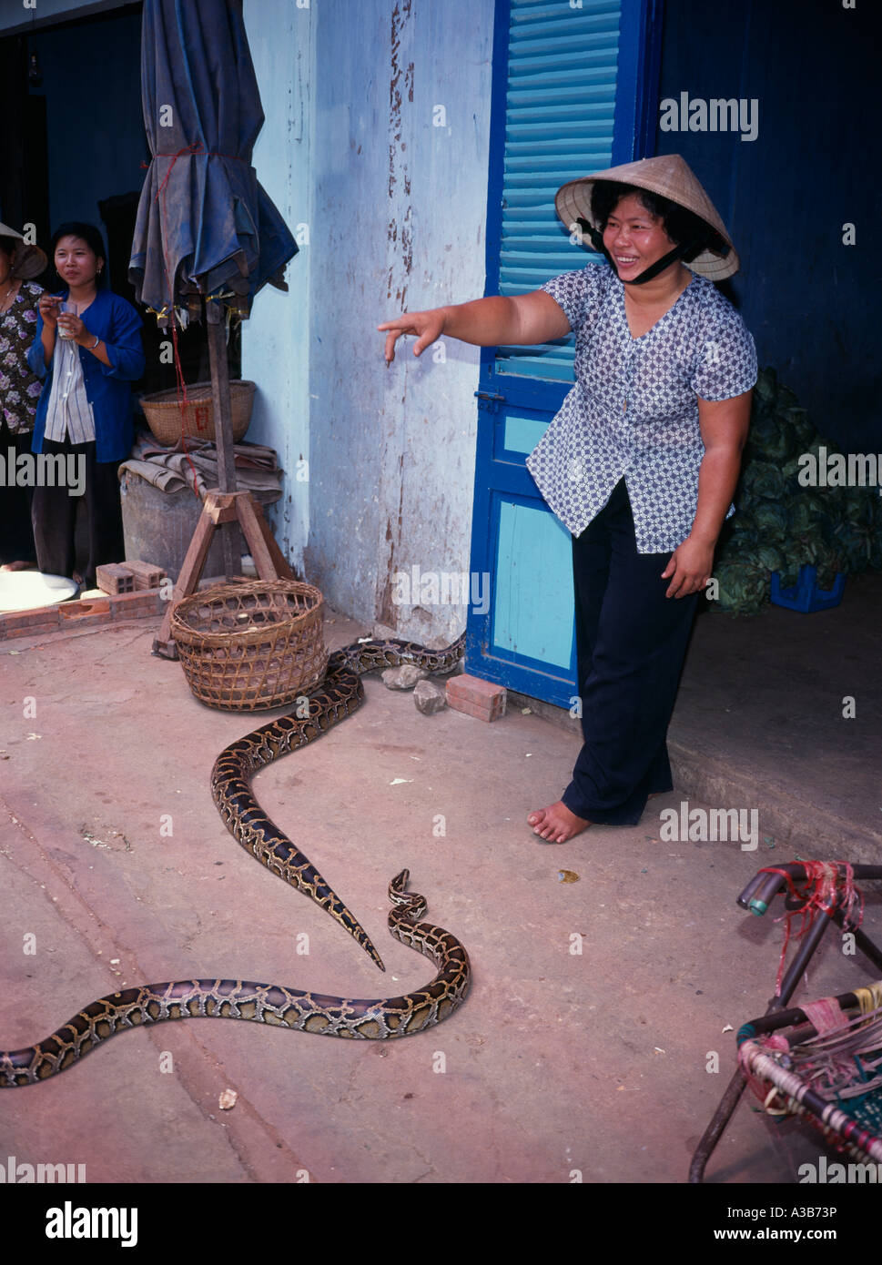 VIETNAM Asie du sud-est du Delta du Mékong Femme portant chapeau de paille traditionnel avec python serpents sur terre à l'extérieur du marché en magasin Banque D'Images