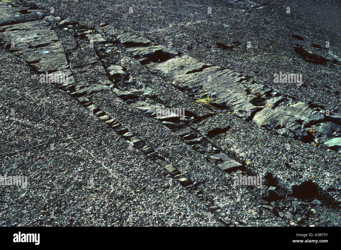 Détails géologiques. Les inclusions dans le basalte gabbro. Coire Lagan, île de Skye, Hébrides intérieures, Ecosse, Royaume-Uni, Europe. Banque D'Images