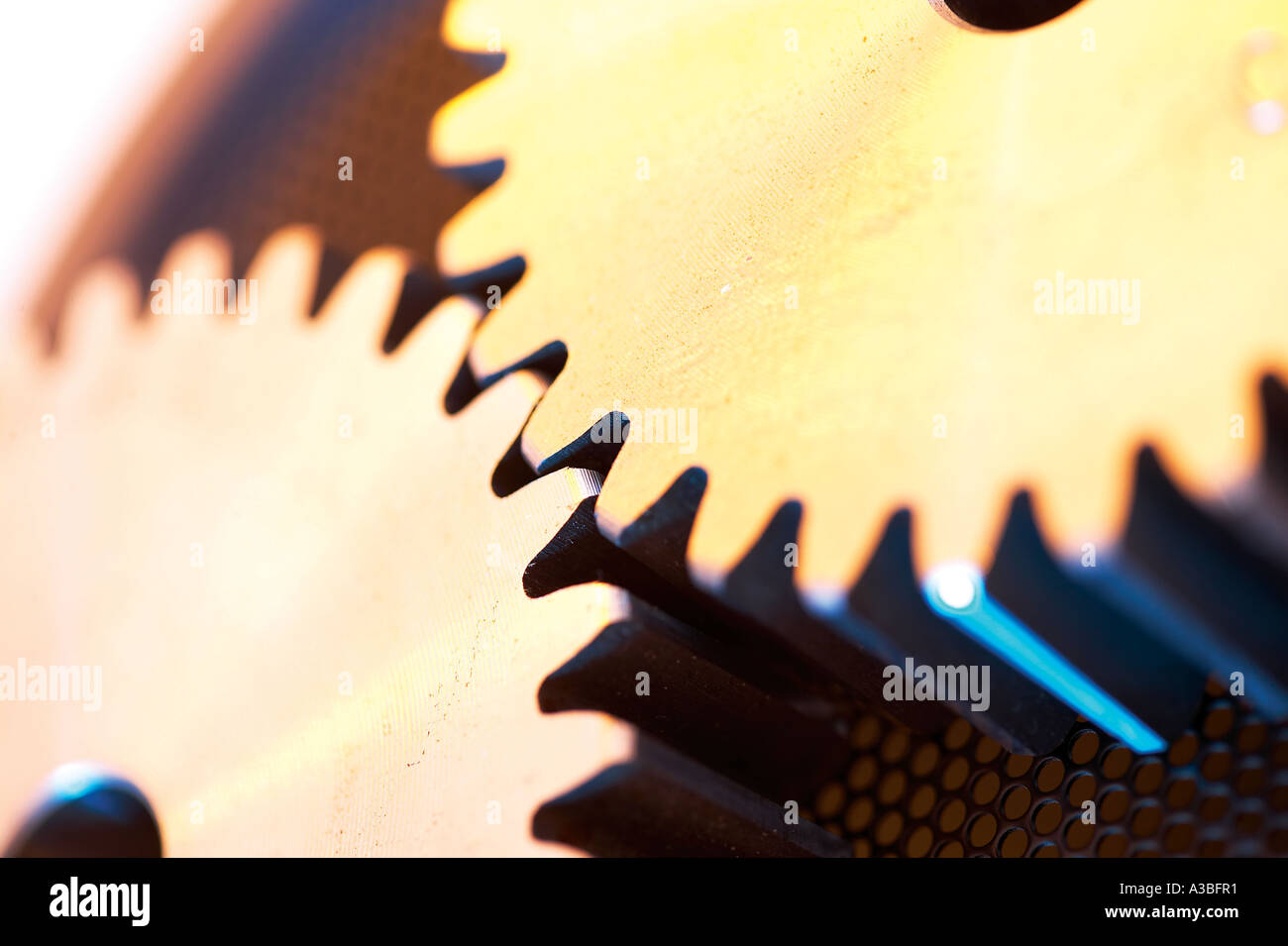 Object,life,encore,roue dentée,libre,Grou Banque D'Images