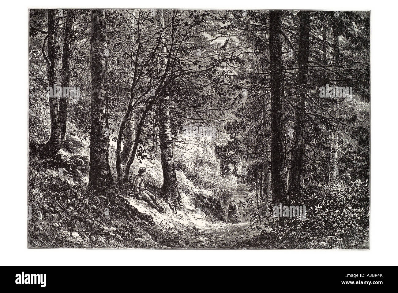 Jura France région française tranquille tranquille boisée forestiers reste bonne forest tree path s'asseoir attendre homme femme marche fourré arb Banque D'Images