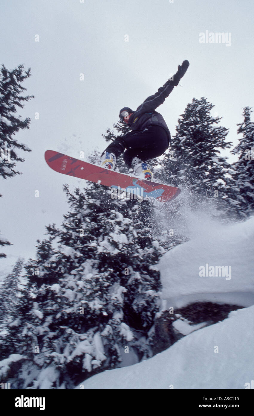 Snowboarder jumping through forest Banque D'Images