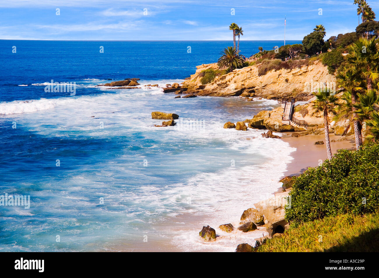 Palmiers sur la plage de sable de Fishermans Cove dans Laguna Beach California USA Banque D'Images