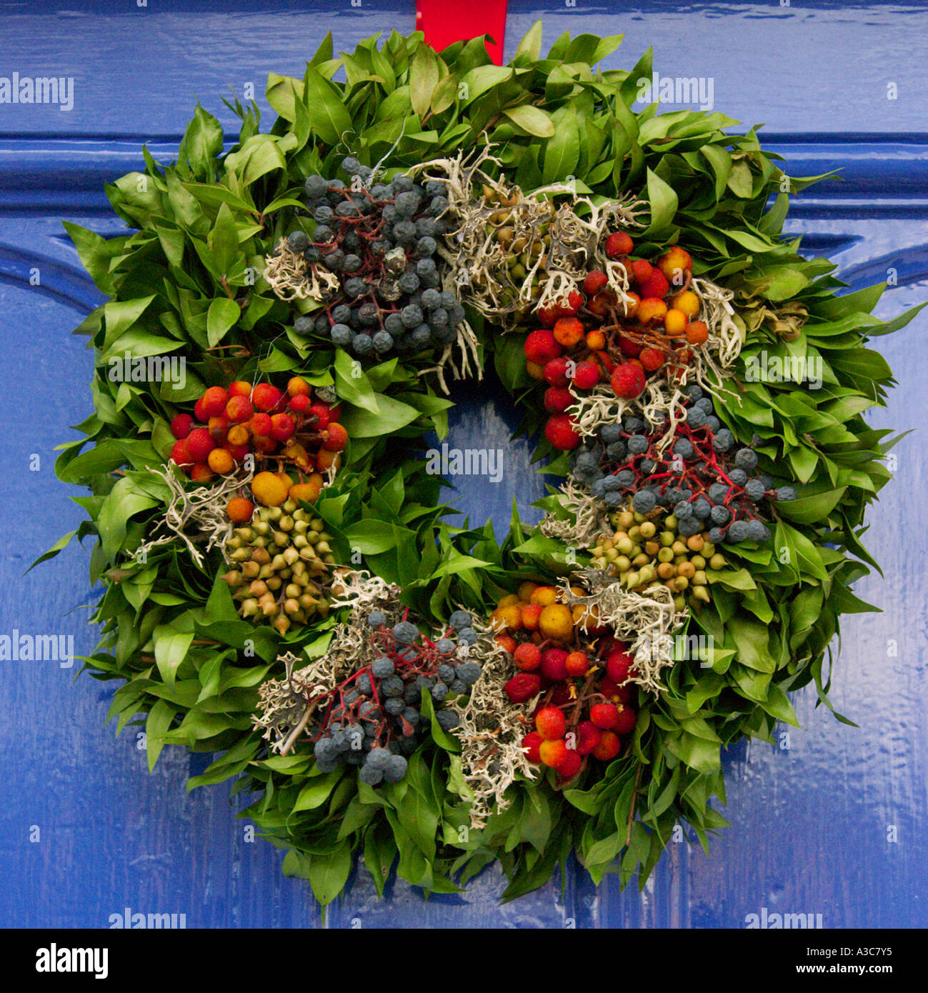 Couronne de Noël sur la porte bleue Banque D'Images