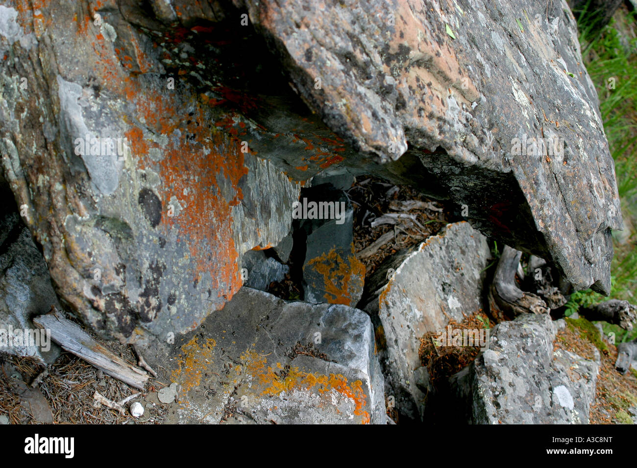 Des rochers couverts de lichens inhabituelle Banque D'Images