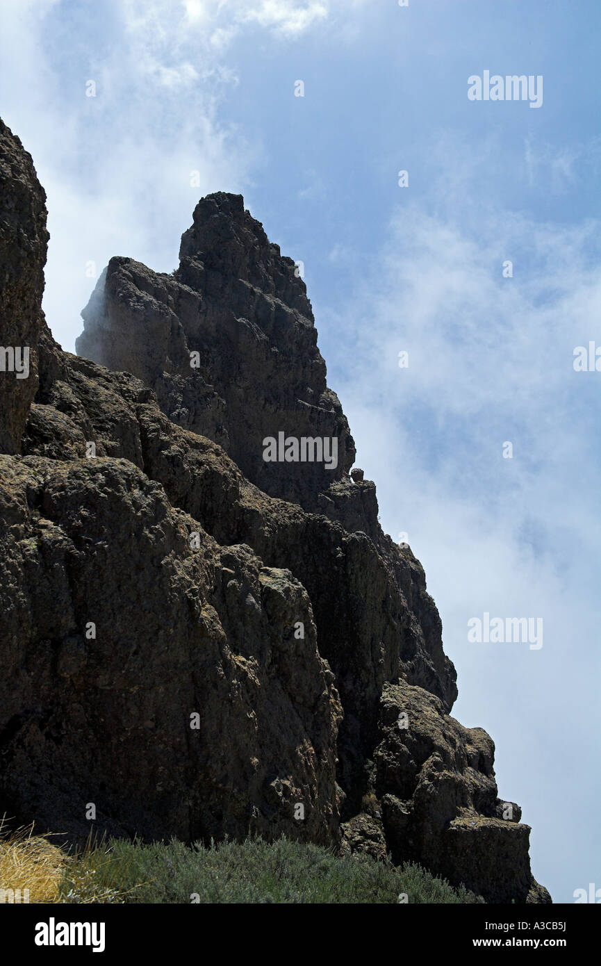 Brouillard sur Pico de las Nieves Pico de las Nieves im Nebel Banque D'Images