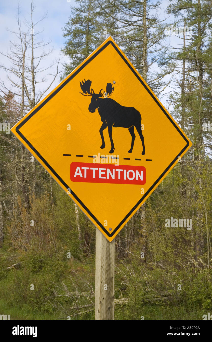Canada Nouveau-brunswick moose crossing warning sign Banque D'Images