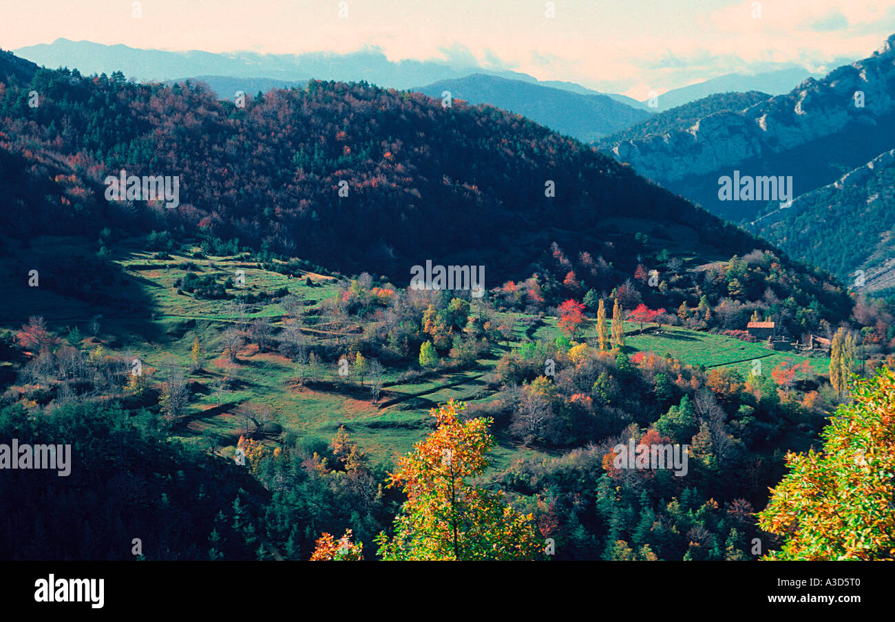 Les forêts de feuillus et de la culture des champs sur l'automne. Pyrénées. Espagne Banque D'Images
