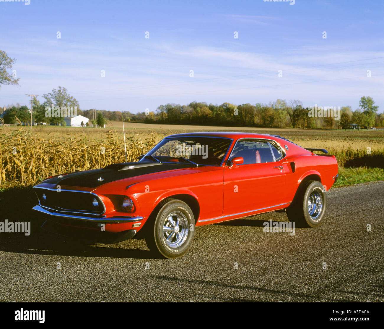 Bloc Feux Arrière Ford Mustang Mach 1 Fastback 1971 - Occasion