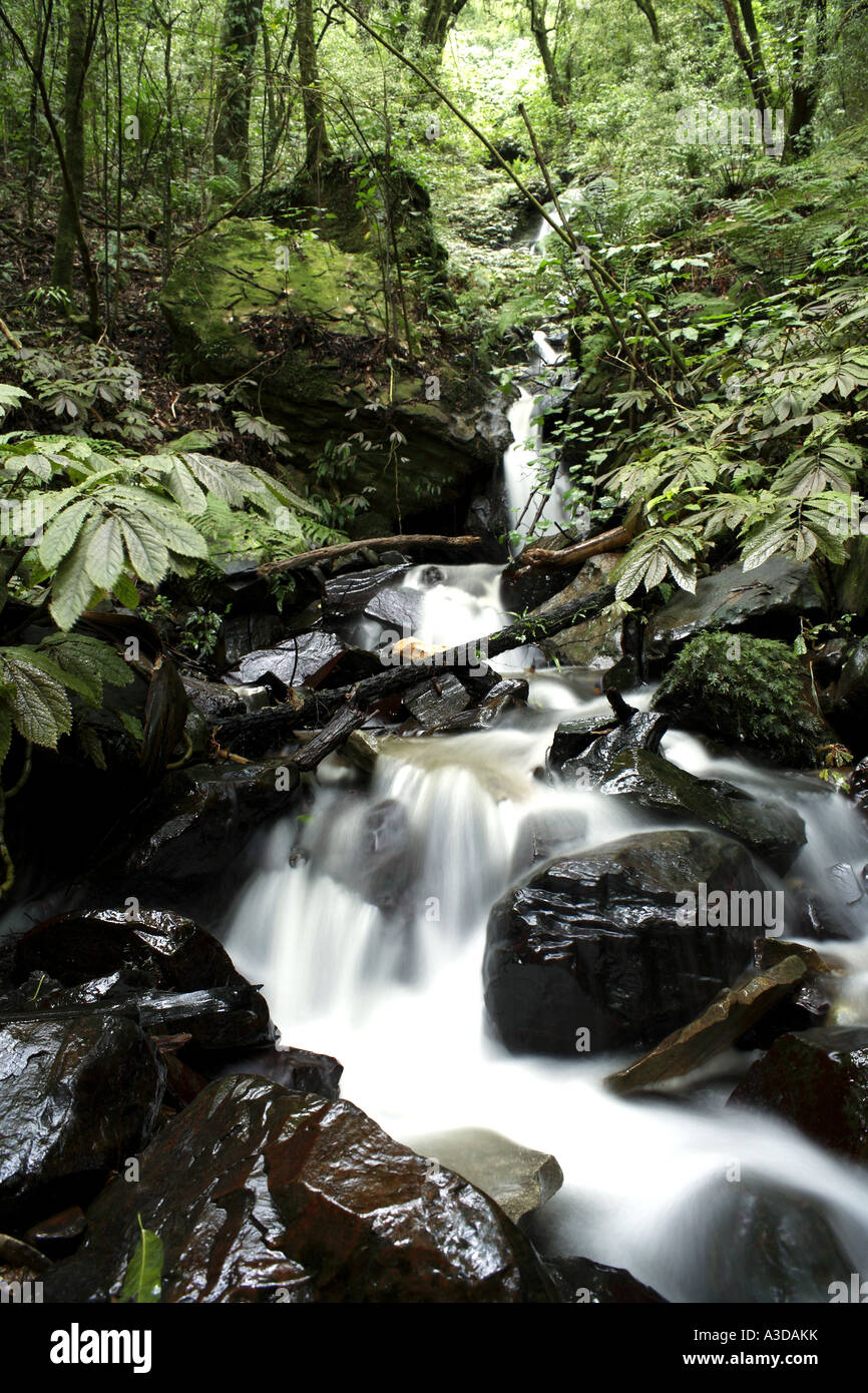Flux de données Banque D'Images
