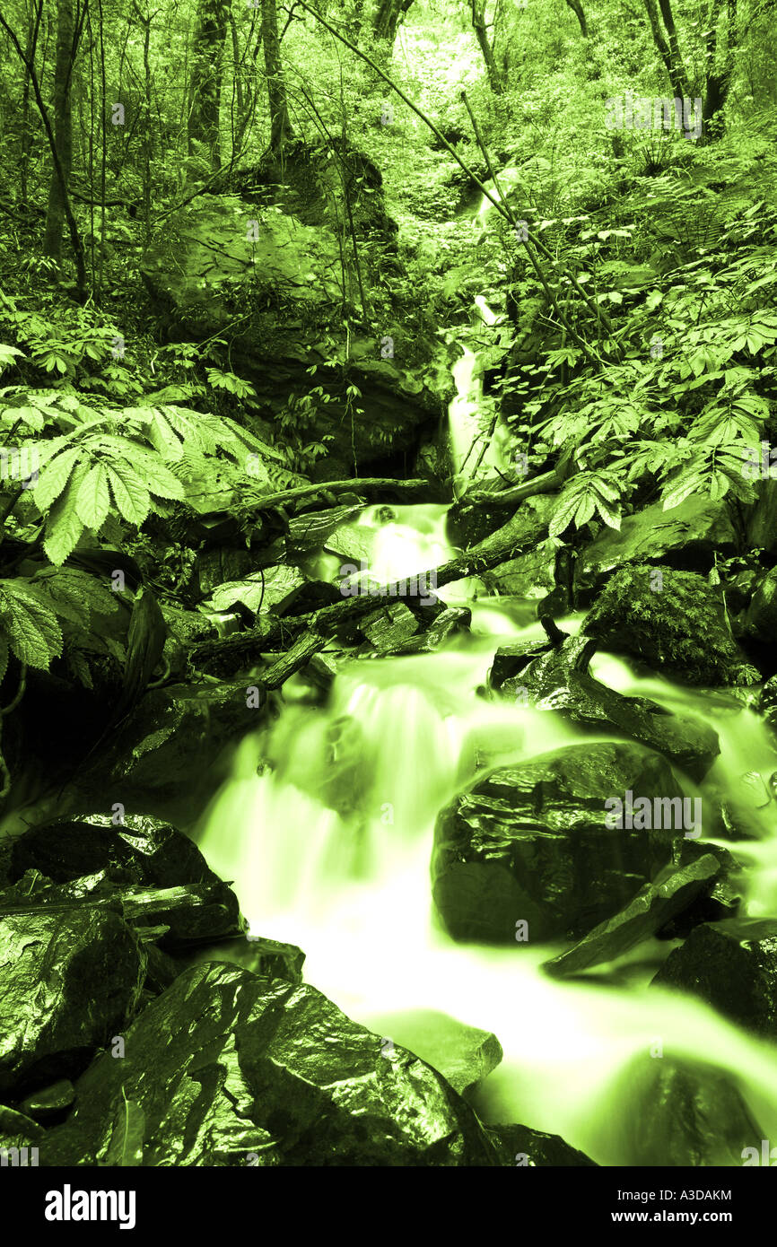 Flux de données Banque D'Images