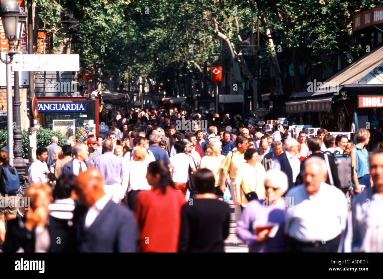 Boulevard Las Ramblas Barcelone Espagne Banque D'Images