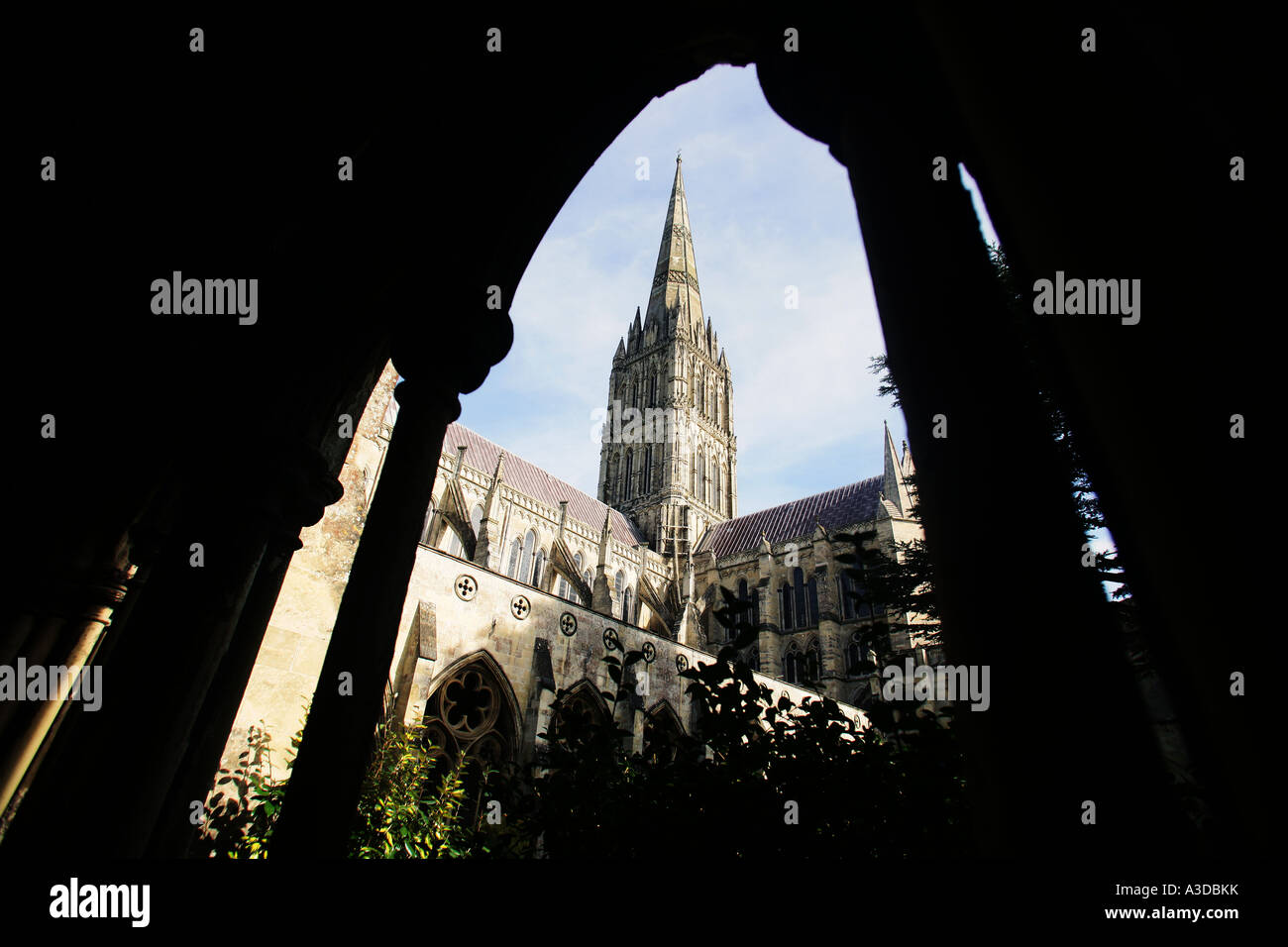 La cathédrale de Salisbury Banque D'Images