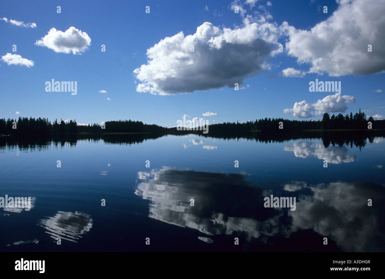 Réflexions, lac en Suède Banque D'Images