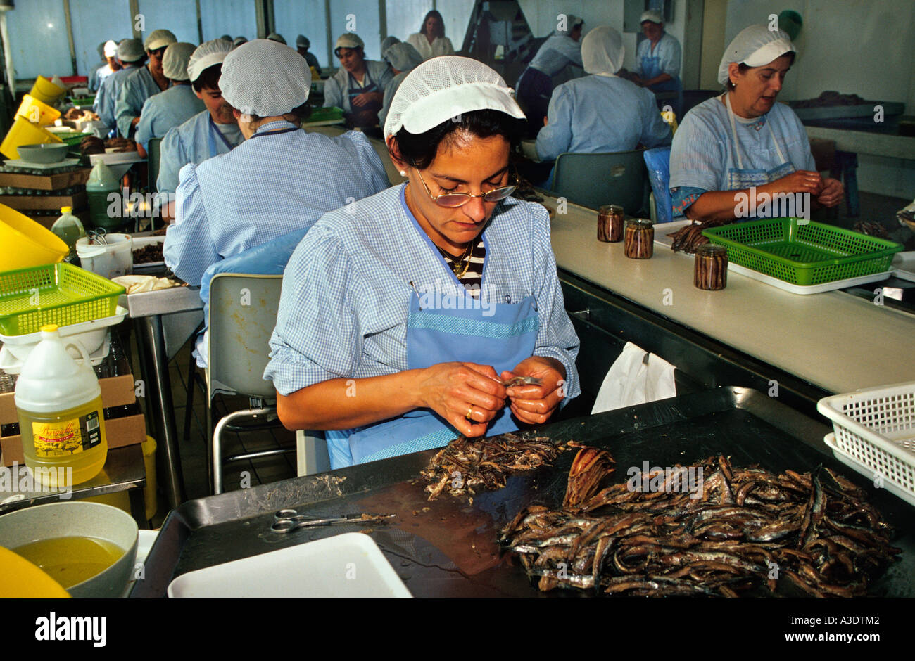 Femme travaillant dans l'usine d'anchois 'Anxoves de l'Escala'. L'Escala. Girona.Espagne. Banque D'Images Femme travaillant dans l'usine d'anchois 'Anxoves de l'Escala'. L'Escala. Girona.Espagne. Banque D'Images