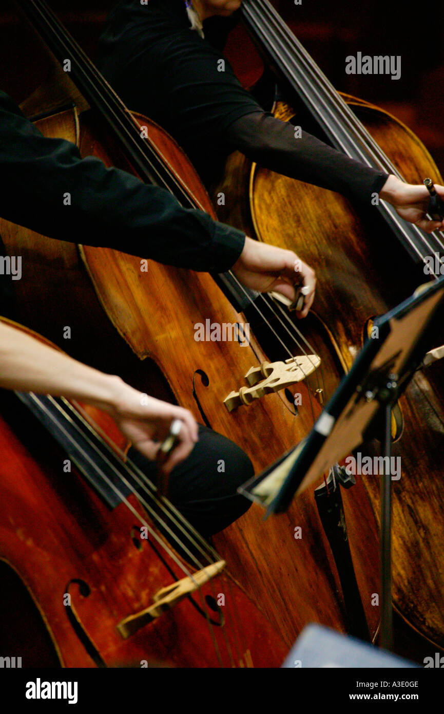 Armes et instruments de trois double-bassistes jouant dans l'Orchestre Symphonique de Nouvelle-Zélande Banque D'Images