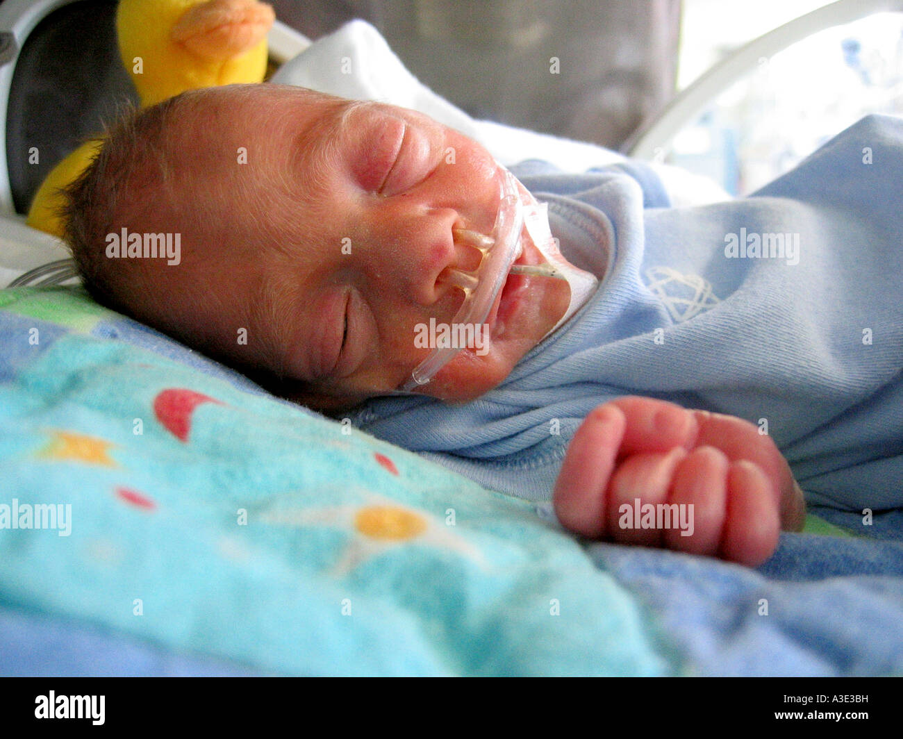 Garcon Bebe Premature Ne A 28 Semaines De Gestation Dans Un Incubateur Portant Des Canules Nasales Photo Stock Alamy Garcon Bebe Premature Ne A 28 Semaines De Gestation Dans Un Incubateur Portant Des Canules Nasales Photo Stock Alamy